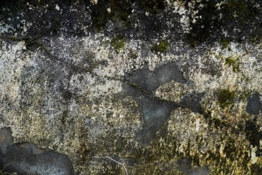 Kentsel Soyut, Yıpranmış ve Yosun Beton Duvar Yapısı