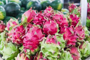 Taze ejderha meyvesi yakın, yan, ön ve üst manzara. Bu fotoğraf poster tasarımlarında, tebrik kartlarında veya meyvelerle ilgili makalelerde kullanılmak için idealdir..