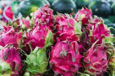 Taze ejderha meyvesi yakın, yan, ön ve üst manzara. Bu fotoğraf poster tasarımlarında, tebrik kartlarında veya meyvelerle ilgili makalelerde kullanılmak için idealdir..