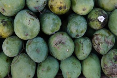 Meyve dükkanlarında satılan taze mangolar, meyveler ve diğerleri hakkındaki makaleler için tasarım amaçlı olarak uygundur..