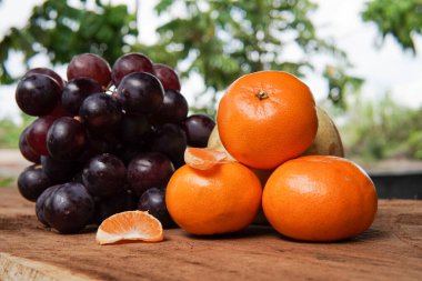 Beyaz zemin üzerinde üzüm ve armut bulunan Mandalina veya Mandarin portakalı kavramı, meyveler ve diğerleri hakkında makaleler için bir illüstrasyon olarak tasarım ihtiyaçları için uygundur..