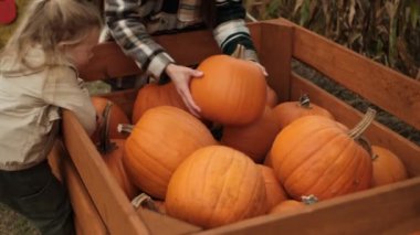 Anne ve kızı çiftlikten bir balkabağı seçtiler. Şükran Günü için konsept. Cadılar Bayramı 'nı kutlamaya hazırlanıyorlar.