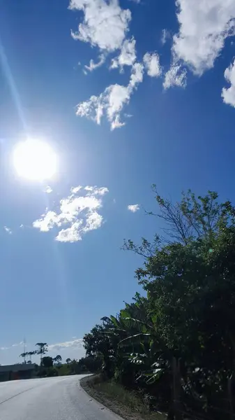Bu fotoğraf, parlak mavi bir gökyüzünün altında, ince sarı kabloların ufka doğru uzandığı, kablo ile kalmış bir köprünün çarpıcı tasarımını yakalıyor..