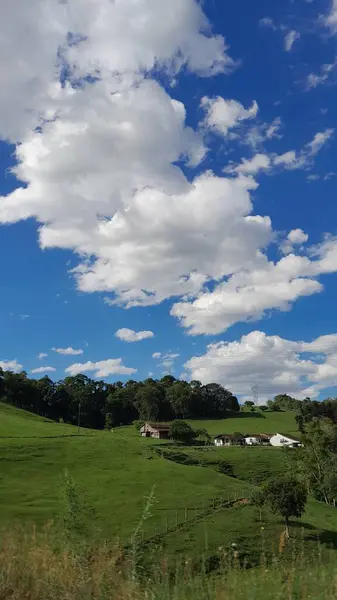 Bu fotoğraf, parlak mavi bir gökyüzünün altında, ince sarı kabloların ufka doğru uzandığı, kablo ile kalmış bir köprünün çarpıcı tasarımını yakalıyor..