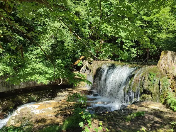 El değmemiş vahşi doğada yuva yapmış nefes kesici şelaleleri keşfedin. Kristal berrak sular dingin havuzlara dalıyor, güzellikleri gözler önüne seriyor ve sizi ormanın kalbinde yatan gizli harikaları keşfetmeye davet ediyor..