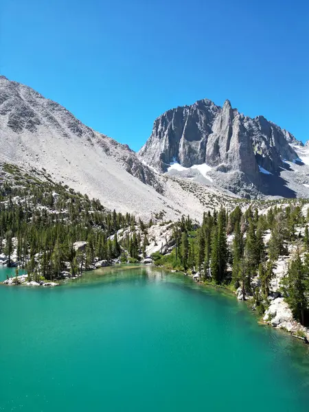 Inyo Ulusal Ormanı 'ndaki patikalar, John Muir Wilderness, güneşli bir günde dağ gölü, dağların arkasındaki dağ ormanları ve berrak bir göl, bulutsuz bir gökyüzüne karşı turkuaz göl.