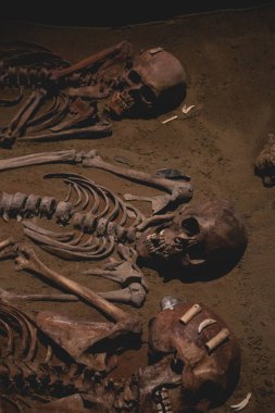 Bu çarpıcı fotoğraf Polanco, Mexico City 'nin modern cam ofis binalarını gösteriyor.