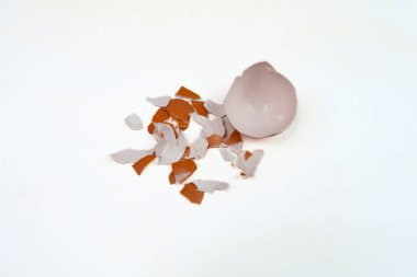 Beyaz arka plan üzerinde izole kırık yumurta kabuğu.