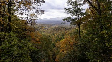 A view of the southern Appalachian mountains in peak fall foliage framed by fall trees. Photographed from the top of the falls at Amicalola Falls State Park in north Georgia. clipart