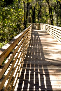 Warm sunlight creates shadows on the boardwalk as it disappears around a corner at Eureka Springs Conservation Park in Tampa, Florida. Vertical image. clipart