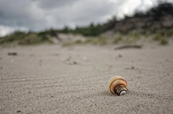 Plastik bir çöp tarafından kirletilmiş vahşi deniz manzarası. Kirliliğe karşı fotoproje