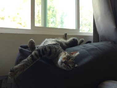 Mavi sandalyede kestiriyorum.