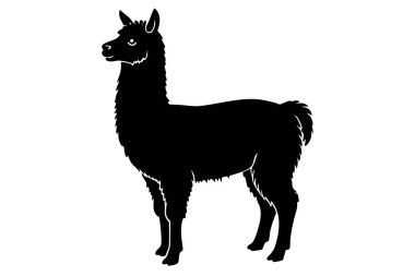 Alpaca siluet vektör çizimi