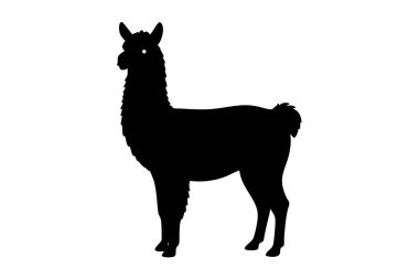 Alpaca siluet vektör çizimi