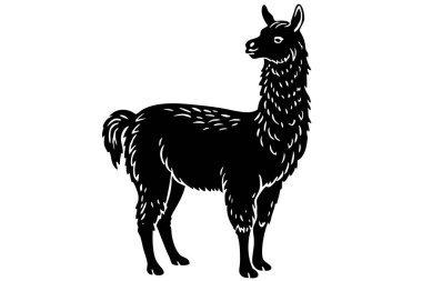 Alpaca siluet vektör çizimi