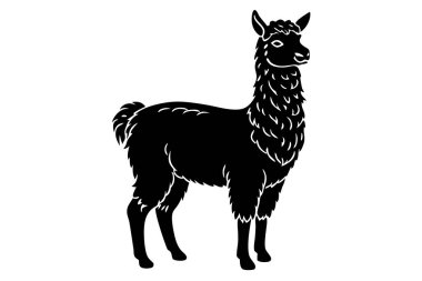 Alpaca siluet vektör çizimi