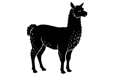 Alpaca siluet vektör çizimi