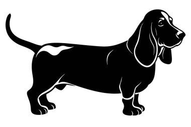 Basset Hound siluet vektör çizimi