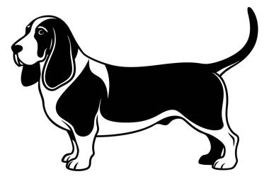 Basset Hound siluet vektör çizimi