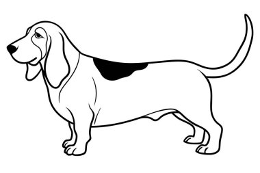 Basset Hound siluet vektör çizimi