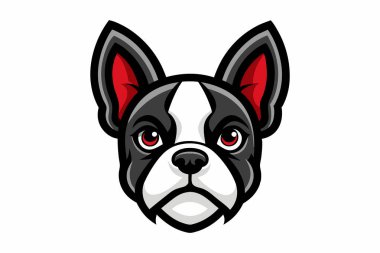 Boston Terrier baş maskotu logo tasarım vektörü