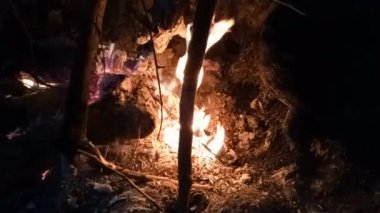 Ateş bir yığın kuru odun yakıyor.