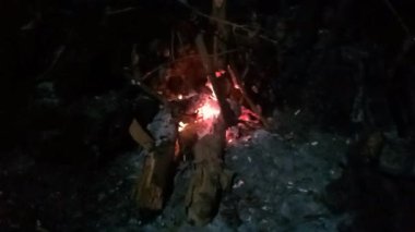 Ateş bir yığın kuru odun yakıyor.