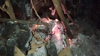 Ateş bir yığın kuru odun yakıyor.