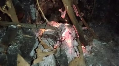 Ateş bir yığın kuru odun yakıyor.