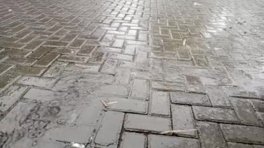 Şiddetli yağmur, uzun bir kurak mevsim olduğunda beklediğimiz şeylerden biri de yağmurdur, böylece bitkiler ve hayvanlar büyür ve hatta insanlar bile yağmurun gelişinden mutlu olurlar, çünkü yağmur yeterince uzun zamandır devam ediyor..