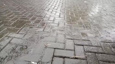 Şiddetli yağmur, uzun bir kurak mevsim olduğunda beklediğimiz şeylerden biri de yağmurdur, böylece bitkiler ve hayvanlar büyür ve hatta insanlar bile yağmurun gelişinden mutlu olurlar, çünkü yağmur yeterince uzun zamandır devam ediyor..