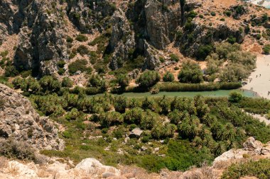 Preveli Sahili, Girit, Yunanistan - 18 Temmuz 2024: Girit Denizi 'ne uzanan palmiye ağaçları, yaz mevsiminde Preveli Sahili