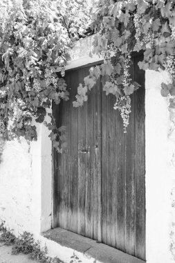 Grapes vine hanging in front of wooden house door framing entrance in black and white clipart