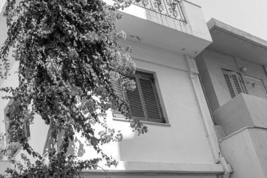 Heraklion, Girit evi. Siyah ve beyaz olarak dışa doğru büyüyen çiçekler.