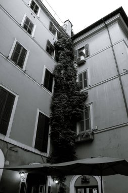 Roma, İtalya 'daki iki bina arasında buluşma noktası. Binaların köşesinde duvarda bitkiler ve dışarıda siyah beyaz iki şemsiyeli bir dükkan var.