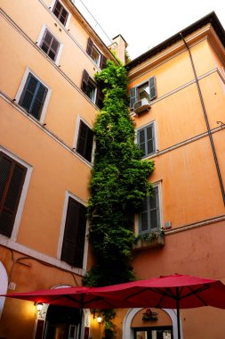 Roma, İtalya 'daki iki renkli turuncu bina arasında buluşma noktası. Binaların köşesinde duvarda büyüyen yeşil bitkiler ve dışarıda iki kırmızı şemsiyeli bir dükkan var..