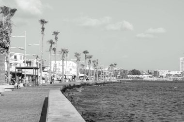 Paphos yürüyebilir liman ve liman kıyı manzarası siyah beyaz