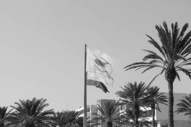 Paphos, Cyprus- 5 Eylül 2023: Avrupa Birliği bayrağı, Constantinou Bros Hotel bayrağı, tropik tatil arka planında rüzgarla dalgalanan Kıbrıs bayrağı