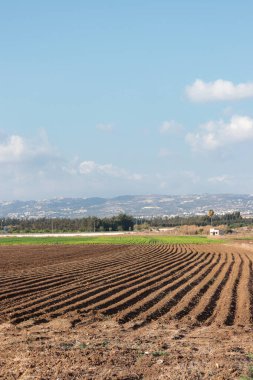 Tarım boş ekili tarla