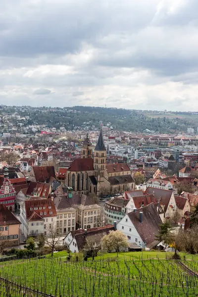 Esslingen, Almanya 1 Nisan 2025 Esslinger Burg Kalesi 'nden Esslingen şehir manzarası