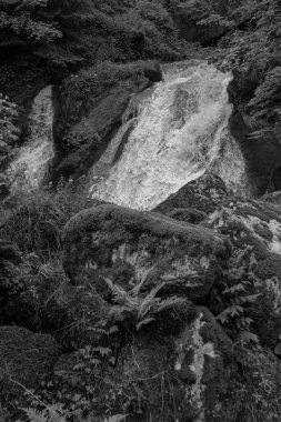 Triberg Şelaleleri - Almanya 'nın en yüksek şelalelerinden biri olan Gutach Nehri Siyah ve Beyaz Orman' da yer almaktadır.