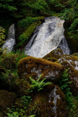 Triberg Şelaleleri - Almanya 'nın en yüksek şelalelerinden biri olan Gutach Nehri Kara Orman' da yer almaktadır.
