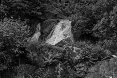 Triberg Şelaleleri - Almanya 'nın en yüksek şelalelerinden biri olan Gutach Nehri Siyah ve Beyaz Orman' da yer almaktadır.