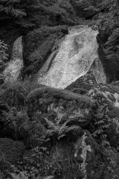 Triberg Şelaleleri - Almanya 'nın en yüksek şelalelerinden biri olan Gutach Nehri Siyah ve Beyaz Orman' da yer almaktadır.