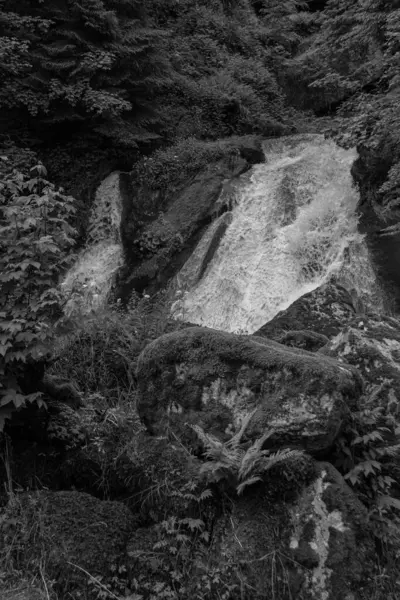 Triberg Şelaleleri - Almanya 'nın en yüksek şelalelerinden biri olan Gutach Nehri Siyah ve Beyaz Orman' da yer almaktadır.