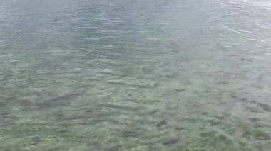 Constance Gölü 'nde (Bodensee) durgun su yüzeyinin yukarıdan aşağı görünümü