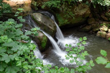 Schiessentmpel Şelalesi 'nin suyu Lüksemburg' un Küçük İsviçre bölgesinin Mullerthal bölgesinde akıyor.