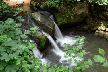 Schiessentmpel Şelalesi 'nin suyu Lüksemburg' un Küçük İsviçre bölgesinin Mullerthal bölgesinde akıyor.