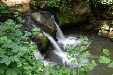 Schiessentmpel Şelalesi 'nin suyu Lüksemburg' un Küçük İsviçre bölgesinin Mullerthal bölgesinde akıyor.