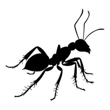 Siyah karınca silueti vektörü